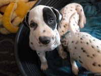 IMG_20250211_131041_web