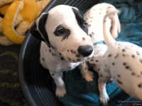 IMG_20250211_131042_web