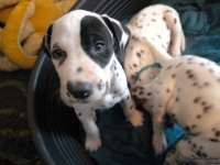 IMG_20250211_131043_web