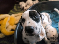 IMG_20250211_131100_web