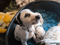 IMG_20250211_131108_web