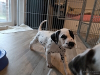 IMG_20250211_153353_web