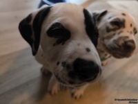 IMG_20250211_153355_web