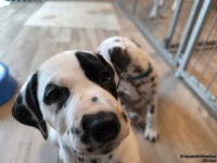 IMG_20250211_153358_web