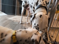 IMG_20250211_153418_web