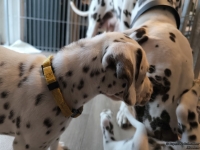 IMG_20250211_153419_1_web