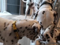 IMG_20250211_153419_web