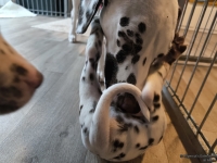 IMG_20250211_153440_web