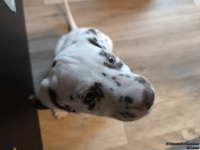 IMG_20250211_153508_web