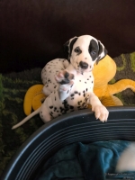 IMG_20250211_153544_web