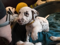 IMG_20250211_153642_web