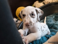 IMG_20250211_153647_web