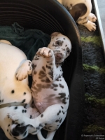 IMG_20250211_153909_web