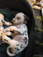 IMG_20250211_153914_web