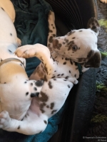 IMG_20250211_153923_web