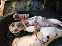 IMG_20250211_153941_web