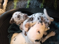 IMG_20250211_153944_web