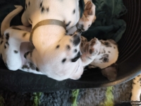 IMG_20250211_154018_web