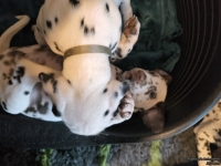 IMG_20250211_154019_web