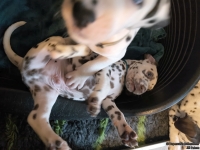 IMG_20250211_154023_web