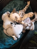 IMG_20250211_154036_web