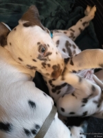 IMG_20250211_154038_web