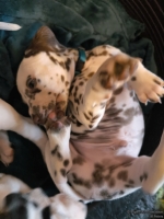 IMG_20250211_154058_web