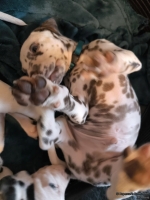 IMG_20250211_154107_web