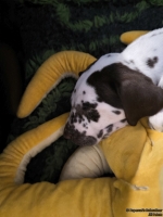 IMG_20250211_154128_web