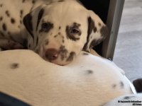 IMG_20250211_154149_web