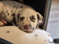 IMG_20250211_154154_web