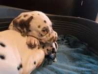 IMG_20250211_154410_web