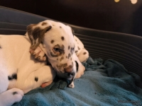 IMG_20250211_154413_web