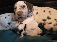 IMG_20250211_154419_web