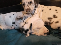 IMG_20250211_154422_web