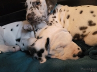 IMG_20250211_154424_web