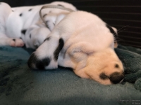 IMG_20250211_154516_web