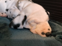 IMG_20250211_154528_web