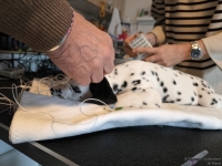 IMG_20250215_120222_web