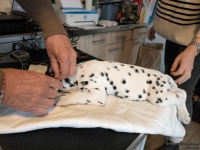 IMG_20250215_120231_web