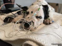 IMG_20250215_120445_web