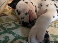 IMG_20250215_121220_web