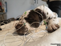 IMG_20250215_121556_web