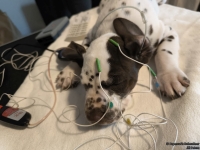 IMG_20250215_121558_web