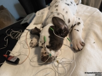 IMG_20250215_121559_web