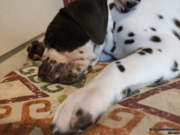 IMG_20250215_122332_web