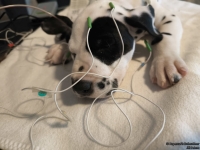 IMG_20250215_122359_web