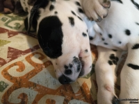 IMG_20250215_122822_web