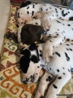 IMG_20250215_122830_web