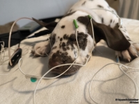 IMG_20250215_123000_web